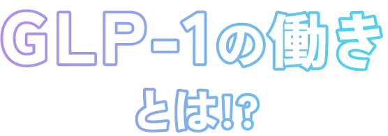 GLP-1の働きとは!?