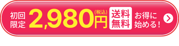 送料無料、初回特別価格2,980円で購入する