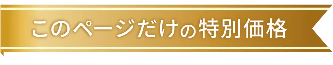 このページだけの特別価格