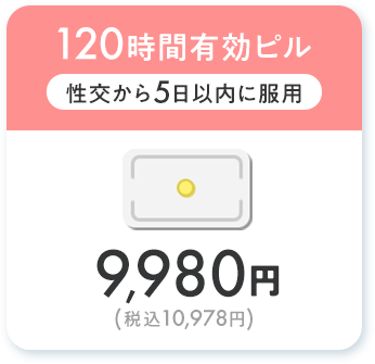 120時間有効ピル 9,980円(税込10,978円)