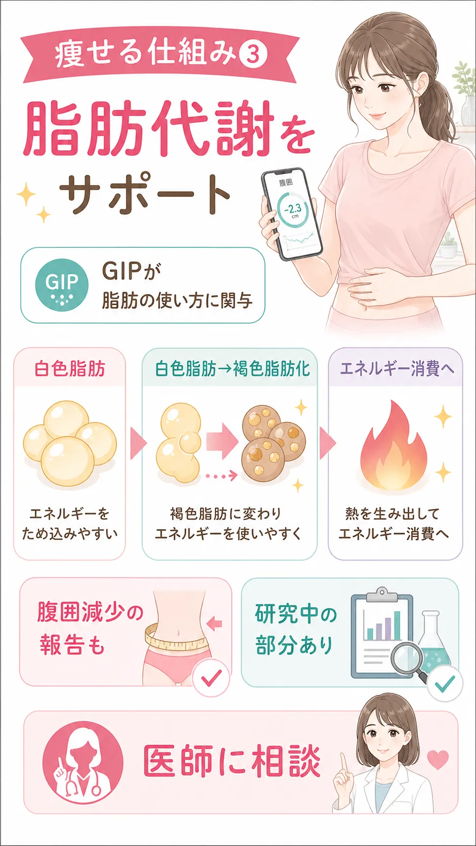 マンジャロ　ダイエット効果　脂肪代謝の促進