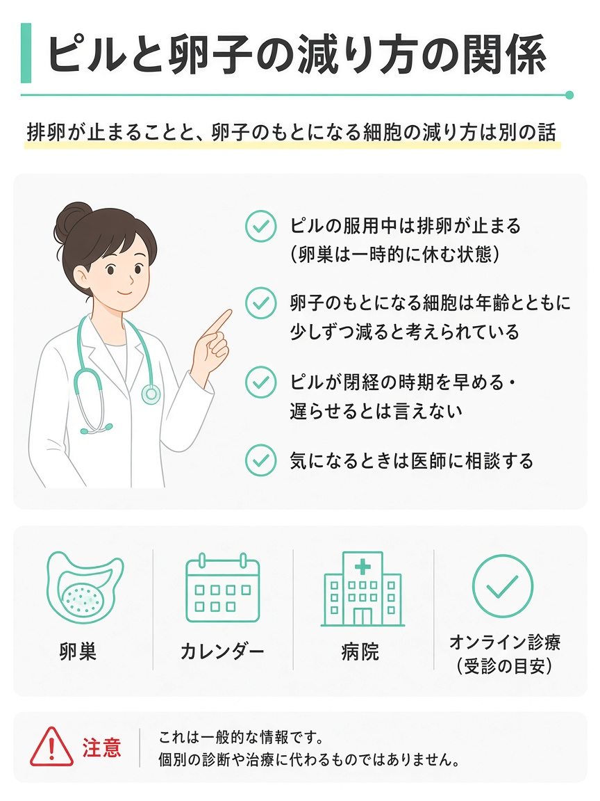 ピルで排卵が止まっても、卵子のもとになる細胞の減り方は別の仕組みと考えられていることを示す図解